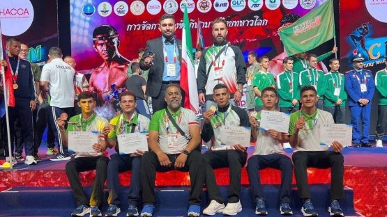 هادی محمدی